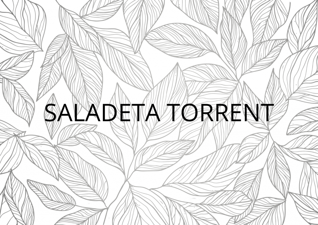 carta_saladeta_torrent